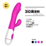 ラビット マッサージャー デンマ 電マ 電動 マッサージ器